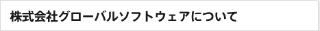 株式会社グローバルソフトウェアについて